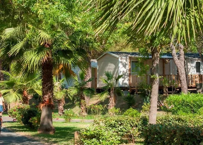 Camping Mobil-home 6 Pers, Confort Clim, Piscine & Animations